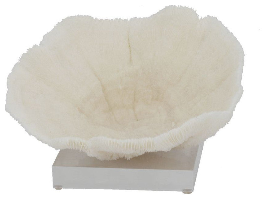 Bowl Coral 9-10" On Acrylic Base