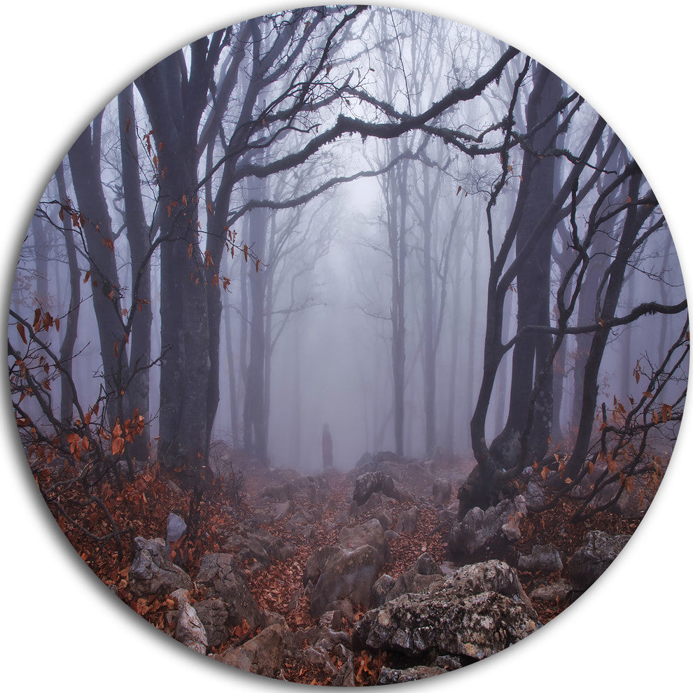 Dark Foggy Forest In Autumn, Landscape Photo Round Metal Wall Art, 11"