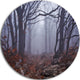 Dark Foggy Forest In Autumn, Landscape Photo Round Metal Wall Art, 11"