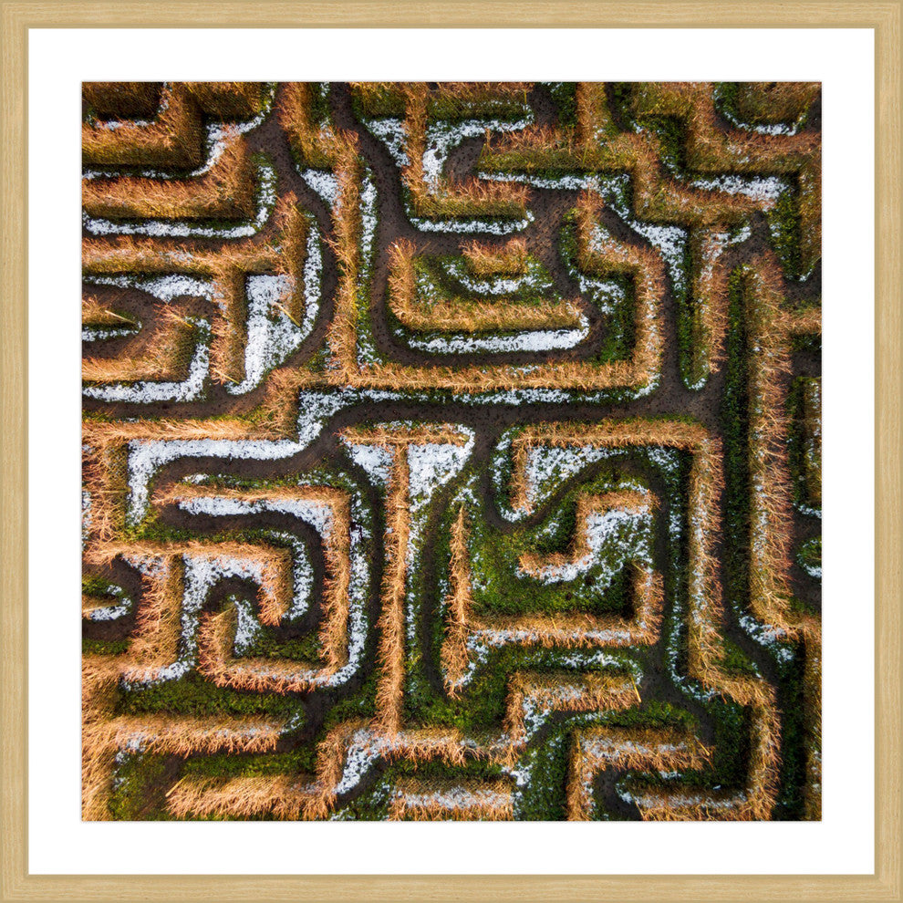 "Earth Maze" Framed Print by Karolis Janulis
