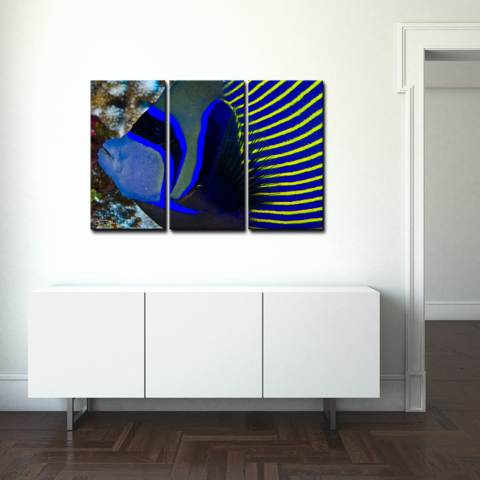 Ready2hangart Chris Doherty 'Underwater Bleus' 3-piece Canvas Wall Art