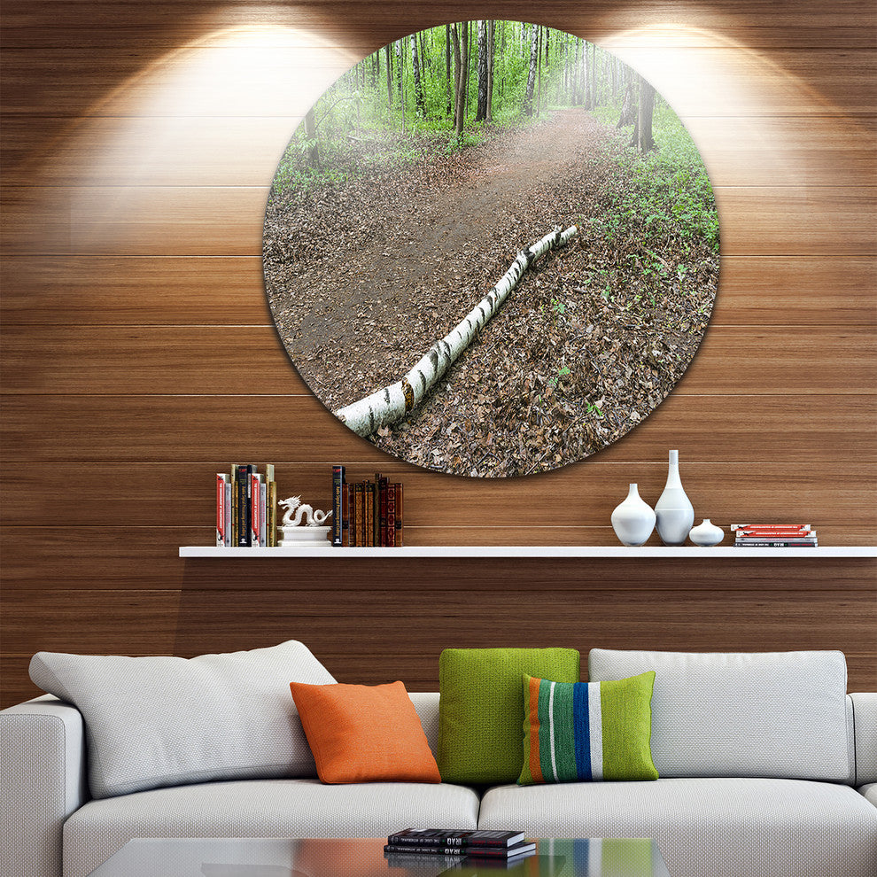 Trunk Of Birch On The Track, Landscape Disc Metal Wall Art, 23"