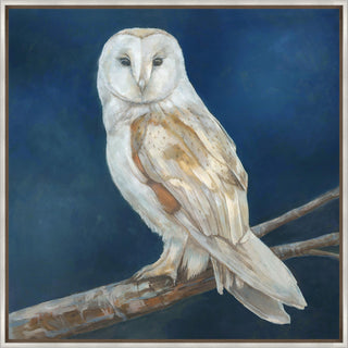 Elegance of the Night, 24 x 24