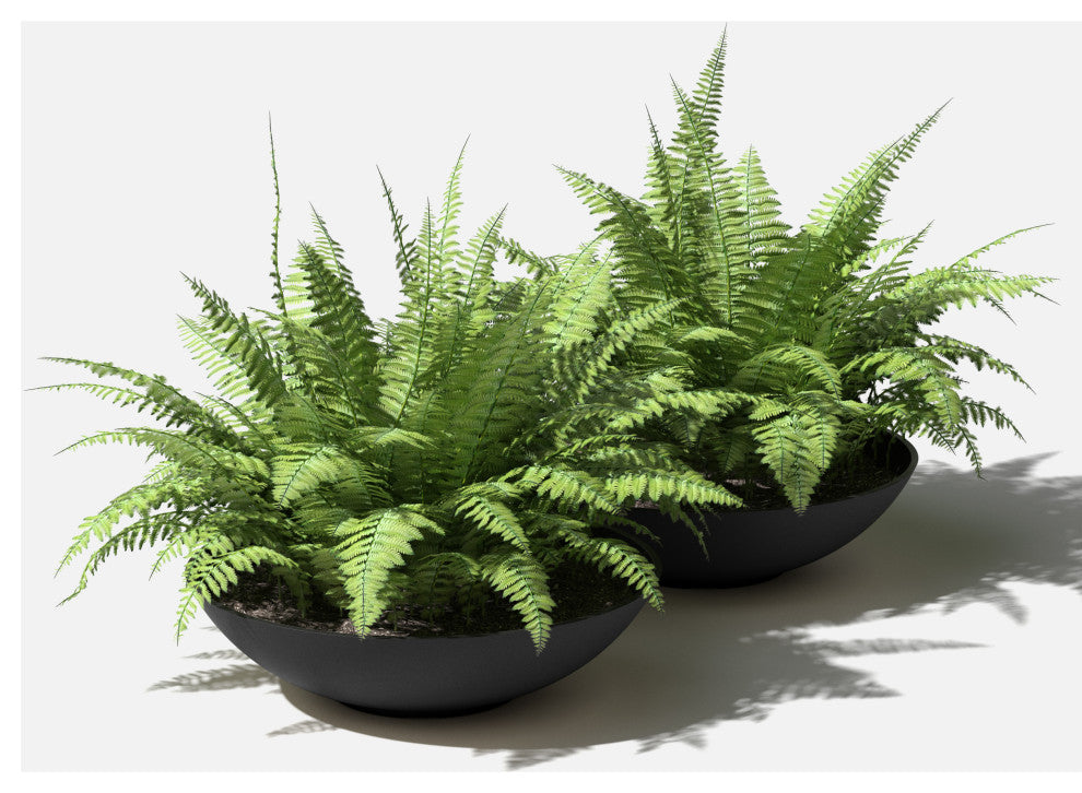 Lane Round Planter Bowl, Black, 24'', 2 Pack