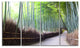 "Kyoto Bamboo Forest Pathway" Forest Canvas Wall Art Print, 4 Panels, 48"x28"