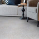 Carolina Shag Indoor Area Rug Carpet Collection, Urchin, 4x4