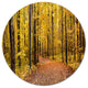 Bright Autumn Forest Panorama, Modern Forest Round Metal Wall Art, 11"