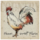 "Farm Life V" Digital Paper Print by Anne Tavoletti, 38"x38"