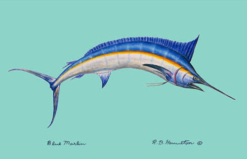 Betsy Drake Blue Marlin 30 Inch By 50 Inch Comfort Floor Mat