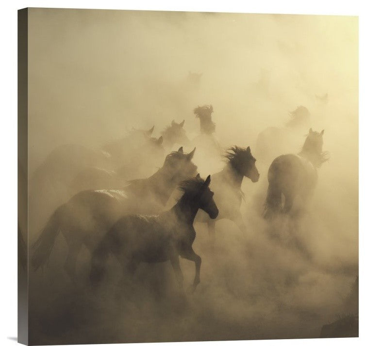 "Migration Of Horses" Stretched Canvas Giclee by Huseyin Taskin, 18"x18"