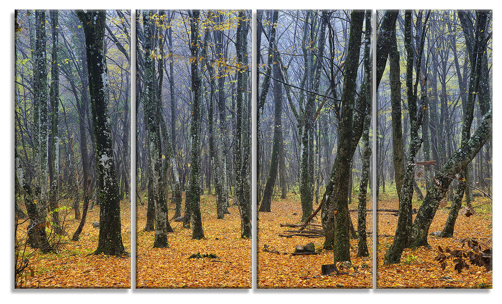 Dark Woods in Autumn Forest, Modern Forest Canvas Art, 48"x28", 4 Panels