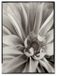 Alan Blaustein ''Florison 21'' Canvas Art, 24x32