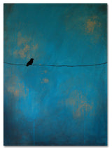 'Lone Bird Blue' Canvas Art by Nicole Dietz