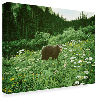 Ron Parker 'Old Man Of The Mountain Black Bear' Canvas Art, 19"x14"