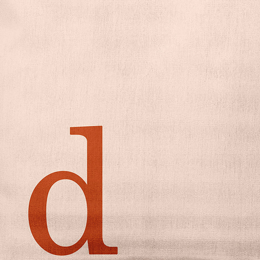 20"x20" Modern Monogram Decorative Throw Pillow, Sienna