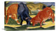 "Fighting Cows" Stretched Canvas Giclee by Franz Marc, 22"x13"
