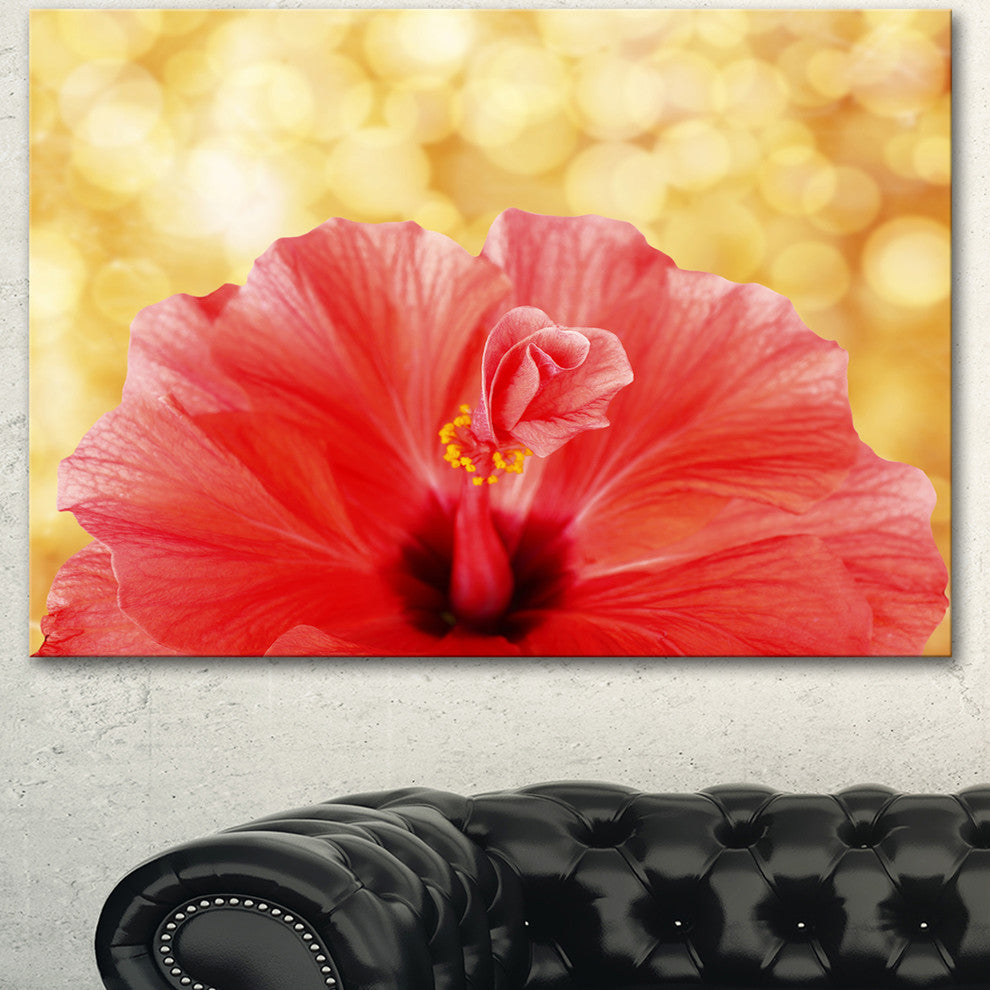 Hibiscus Flower with Lit up Background, Large Floral Canvas Artwork, 40"x30"