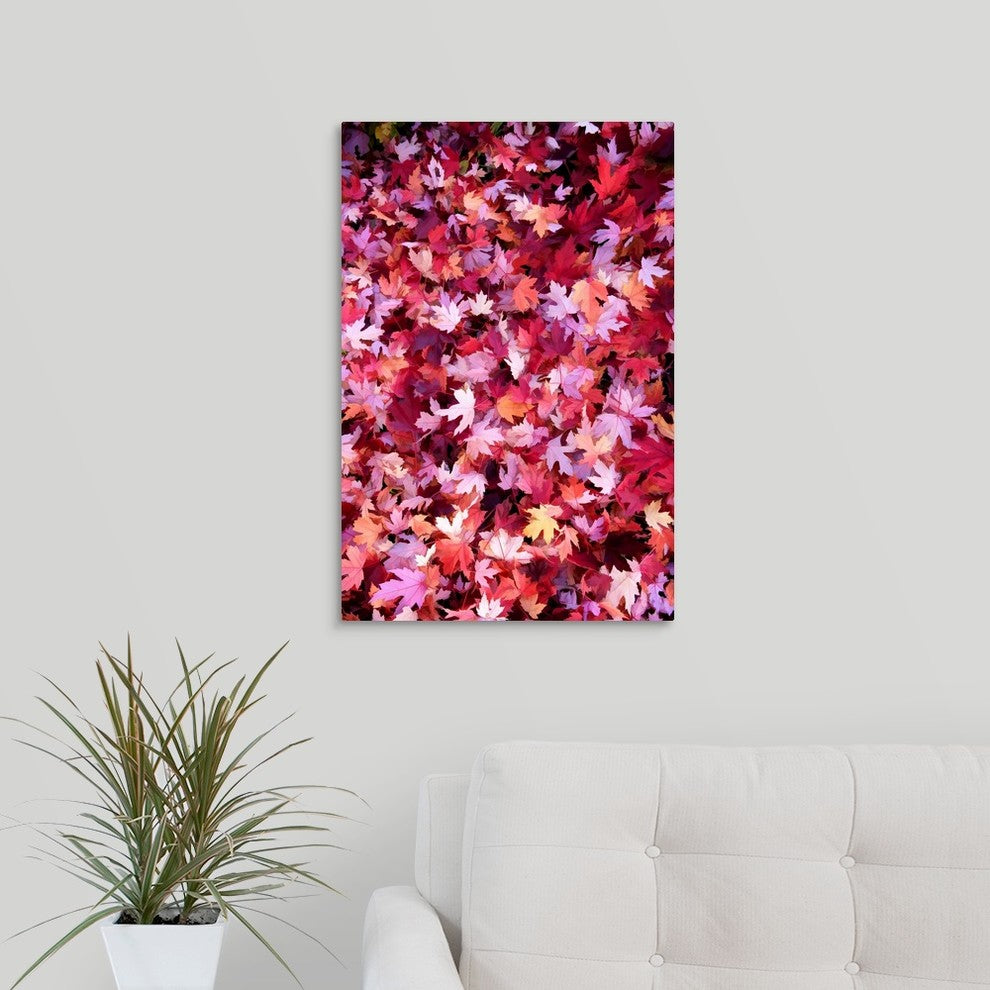 "Autumn Road" Wrapped Canvas Art Print, 16"x24"x1.5"