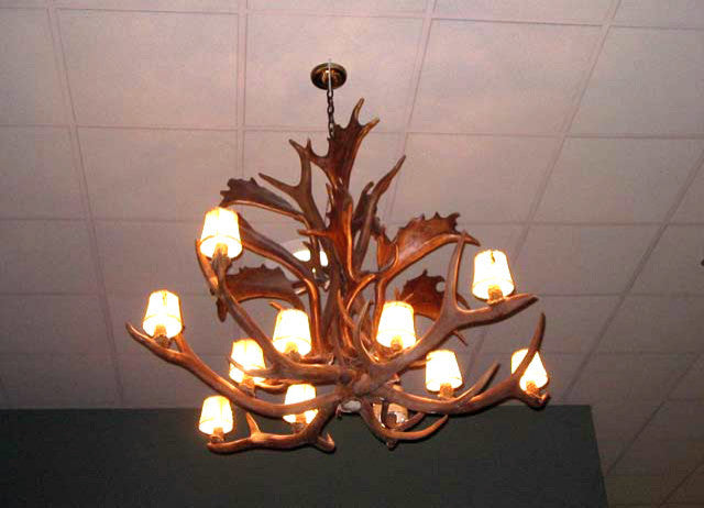 Reproduction Antler Fallow, Elk Chandelier Light, RL-21