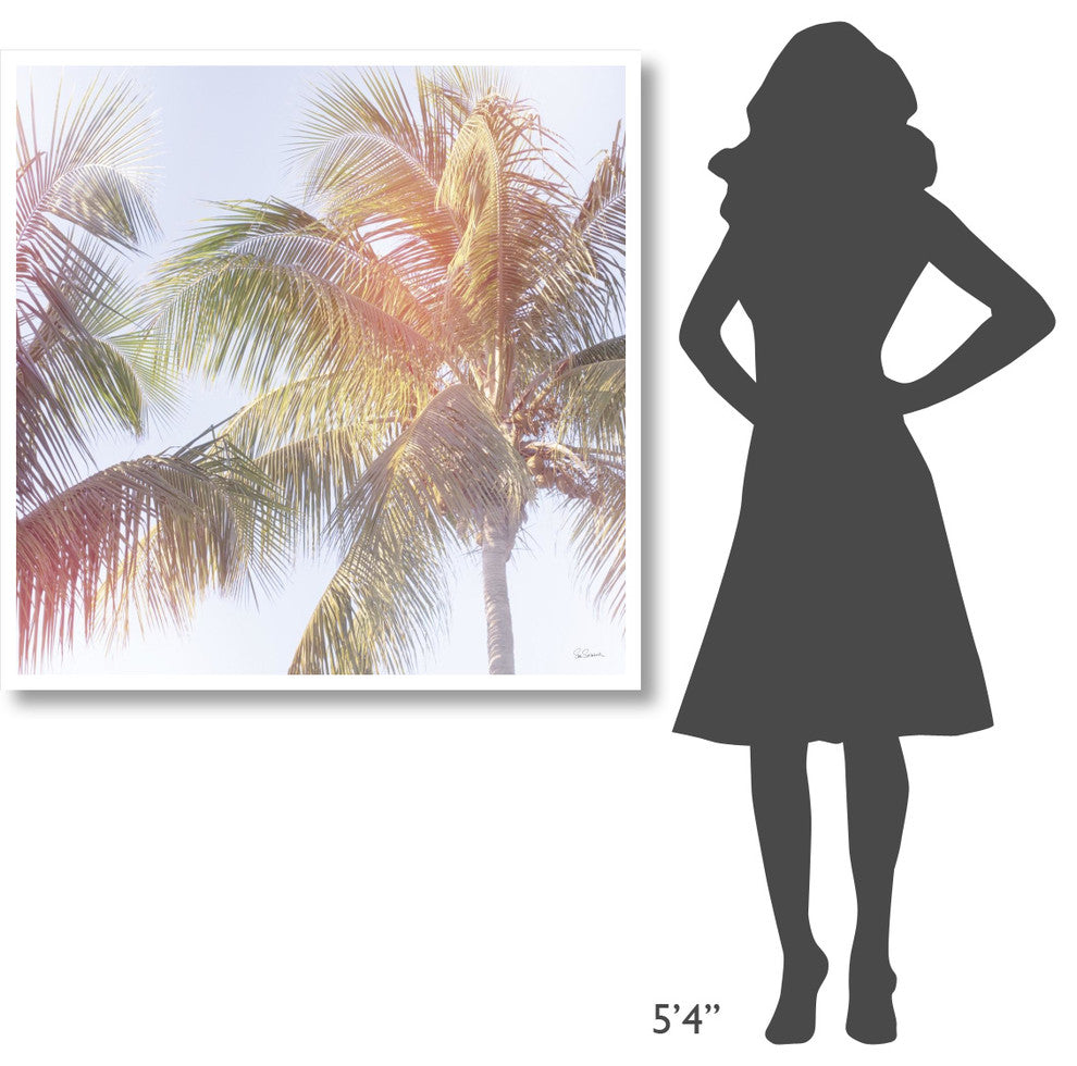 "Dream Palm III" Digital Paper Print by Sue Schlabach, 42"x42"