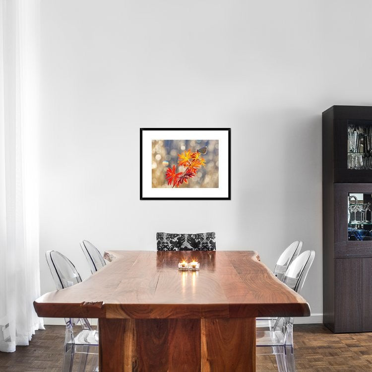 "September Moments" Framed Digital Print by Vajda Beci, 30"x24"
