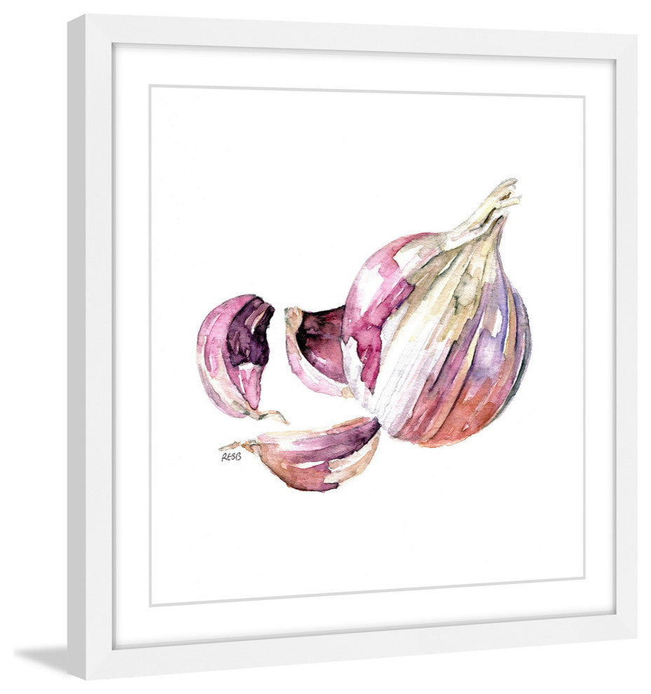 "Garlic Clove" Framed Print by Rachel Byler