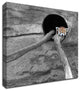 Red Panda Sleeping by Brooke T. Ryan, Print on Canvas, 30"x30"