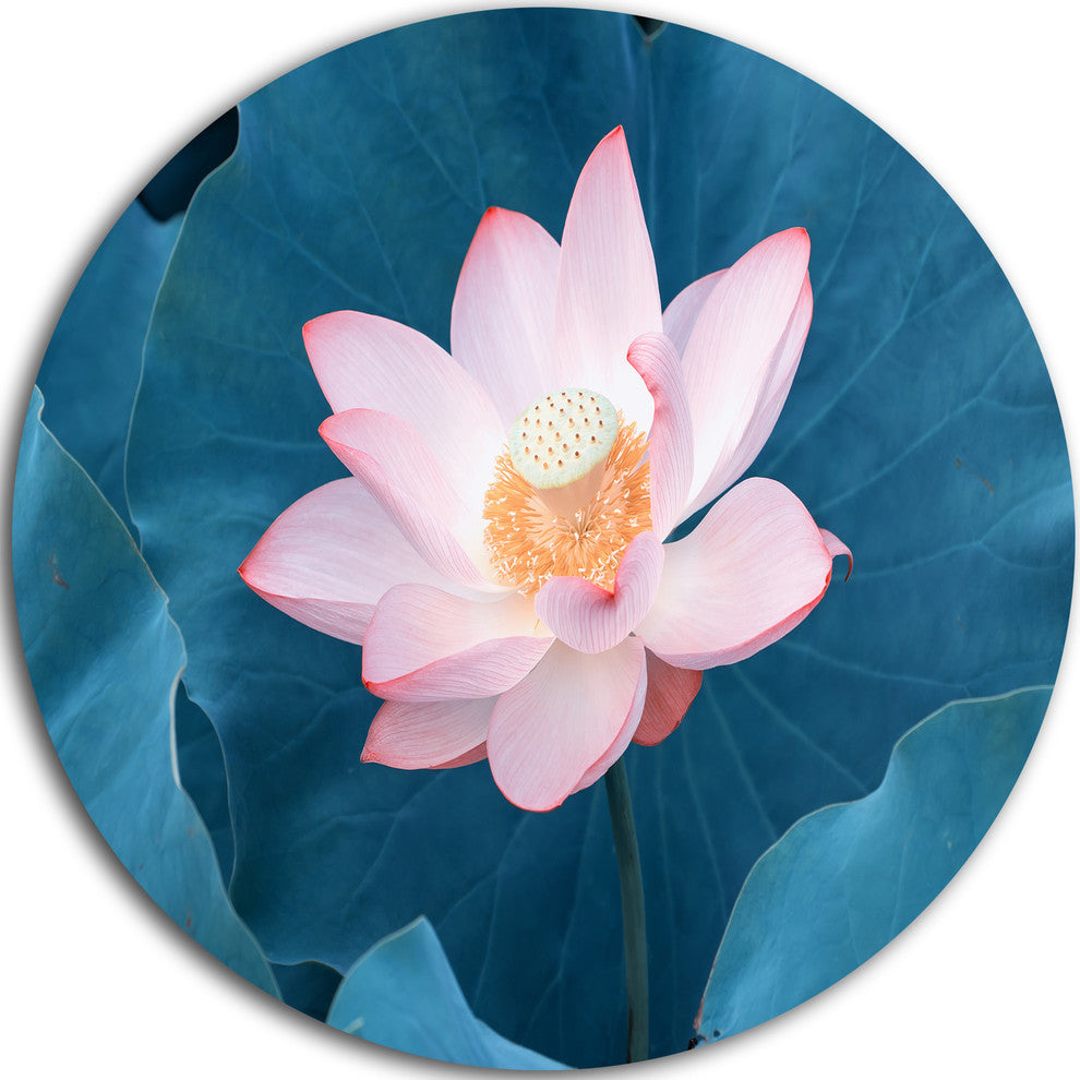 Blooming Pink Lotus Flower Beach Round Metal Wall Art 23