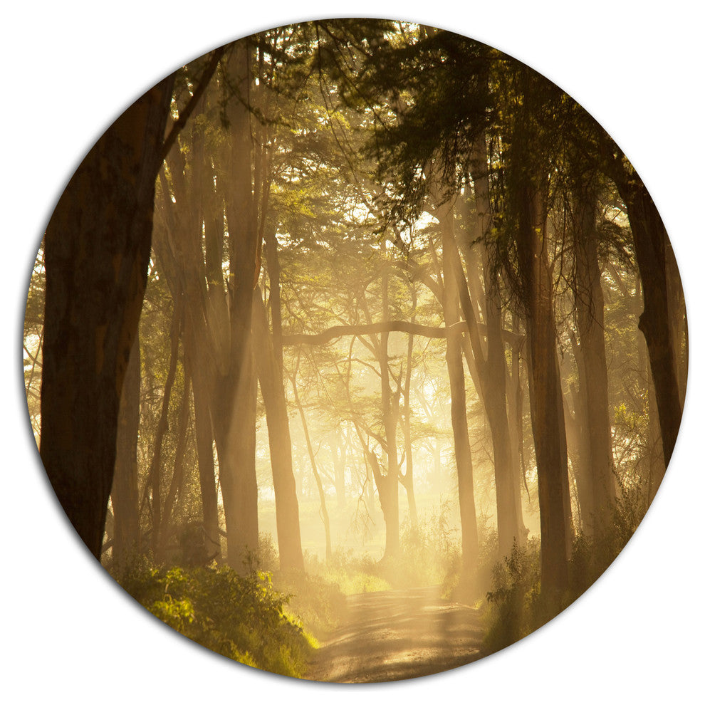 Deep Jungle With Foggy Sunlight, Landscape Disc Metal Wall Art, 36"