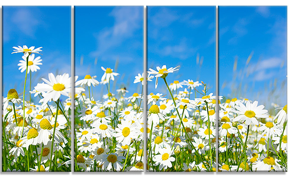 White Daisies under Bright Blue Sky, Floral Canvas Art Print, 48"x28", 4 Panels