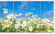 White Daisies under Bright Blue Sky, Floral Canvas Art Print, 48"x28", 4 Panels