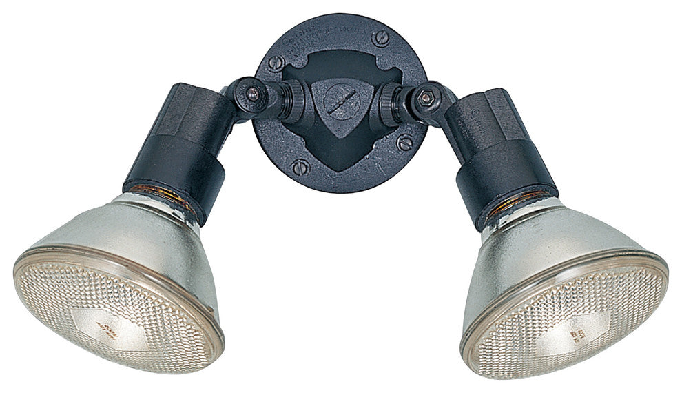 Generation Lighting Lighting 2-Light Adjustable Swivel FloodLight, Black