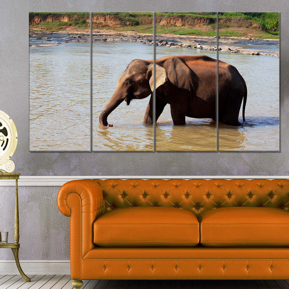 Elephant in Water in Sri Lanka, African Canvas Print, 48"x28", 4 Panels