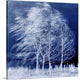 "Blue Wind" Wrapped Canvas Art Print, 24"x24"x1.5"