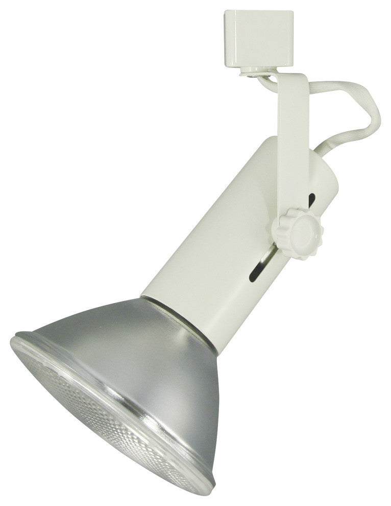 Line Voltage Fixture Universal Par, White Finish