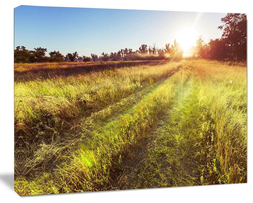 Farm Road in Rural Meadow, Landscape Canvas Art Print, 40"x30"