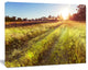 Farm Road in Rural Meadow, Landscape Canvas Art Print, 40"x30"