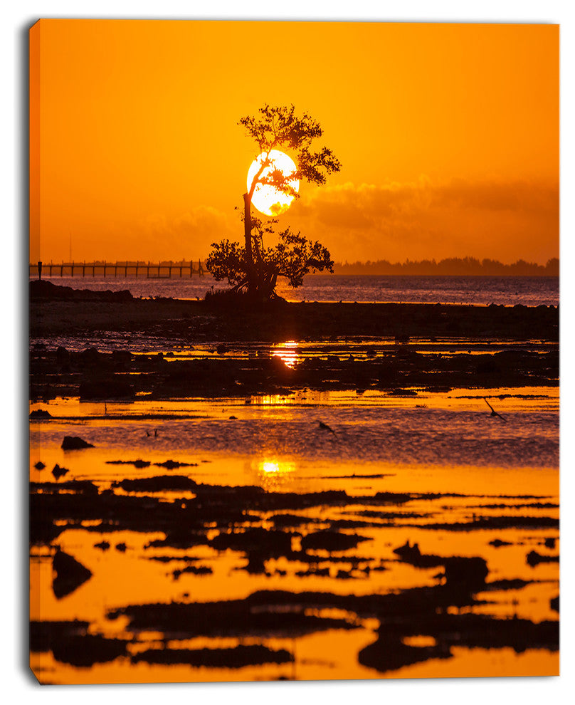Lonely Mangrove in Florida Coast, African Landscape Canvas Art Print, 30"x40"