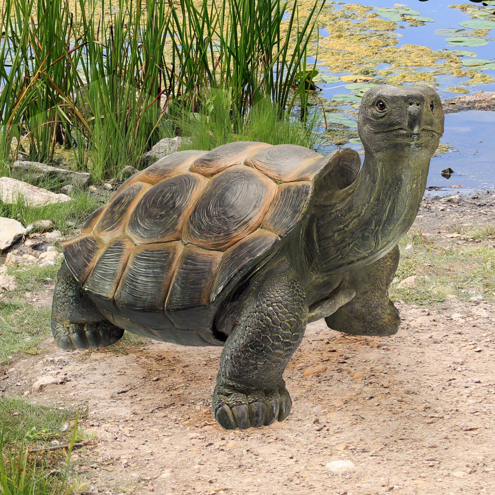 The Cagey Tortoise Statue, Large