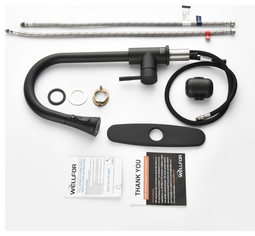 Wellfor Stainless Steel Kitchen Sink Faucet with Pull Down Spray, Matte Black