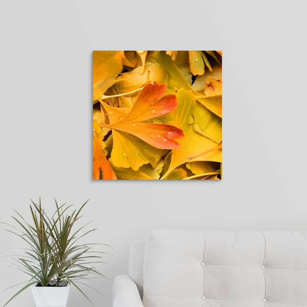"The Fresh Morning Dew" Wrapped Canvas Art Print, 20"x20"x1.5"