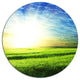 Bright Green Field At Sunrise, Landscape Disc Metal Artwork, 36"