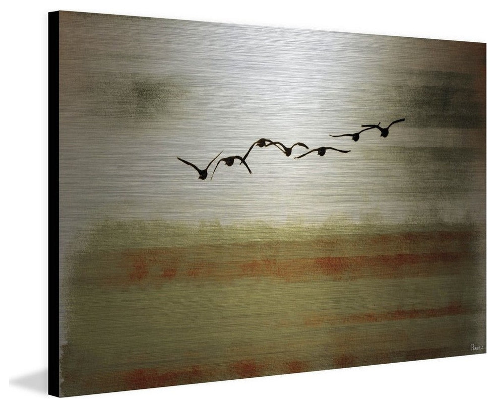 "Sun Flight" Print on Brushed Aluminum, 45"x30"