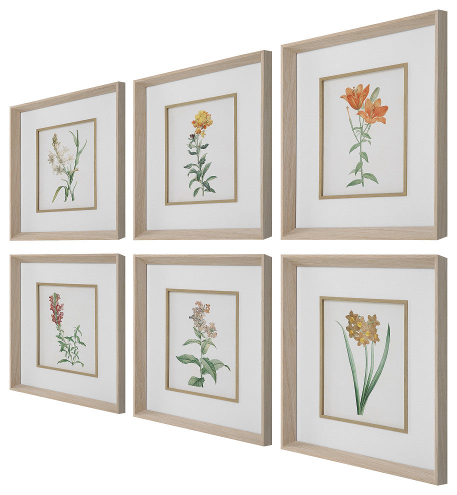 Uttermost Classic Botanicals Framed prints 6-Piece Set