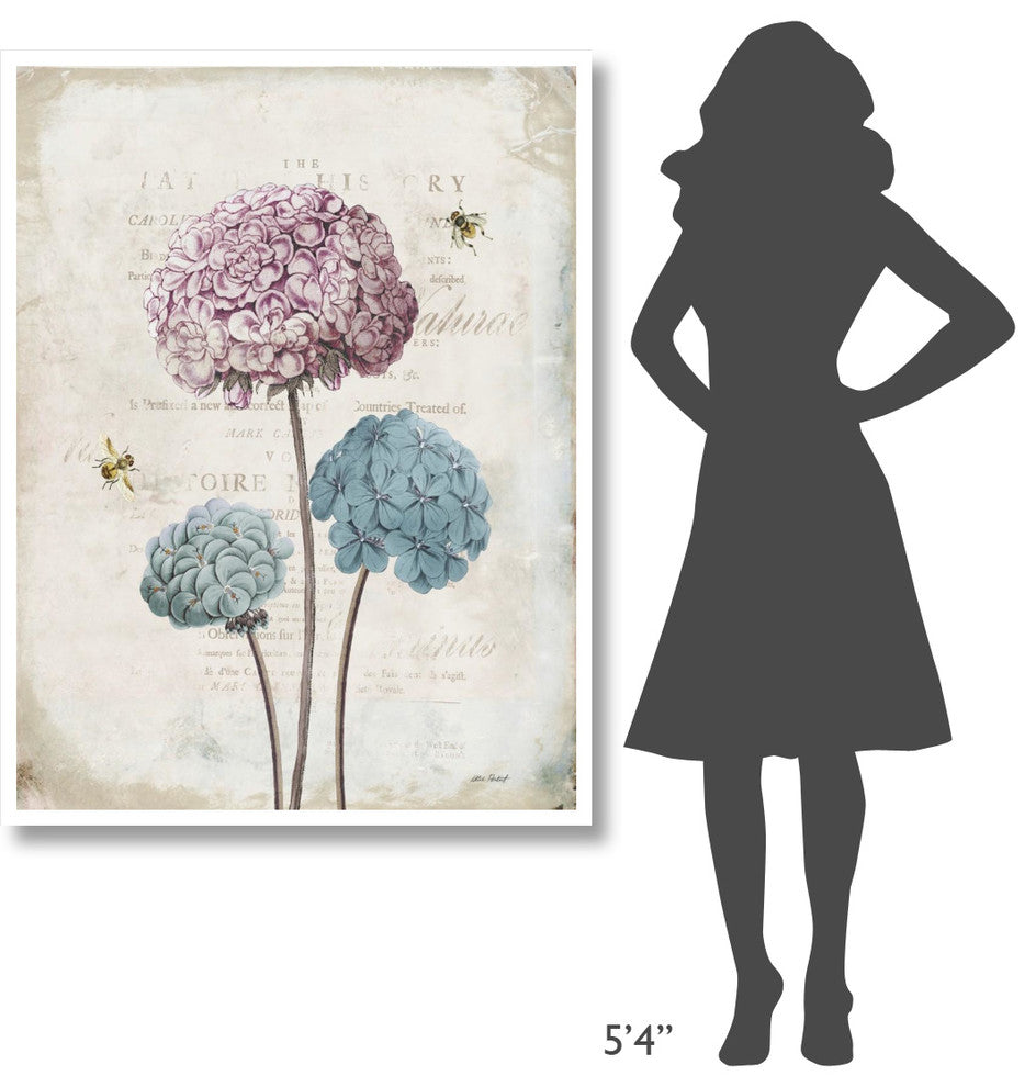 "Geranium Study I Pink Flower" Digital Paper Print by Katie Pertiet, 38"x50"