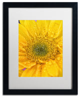 PIPA Fine Art 'Joyful Color' Matted Framed Art, 20x16