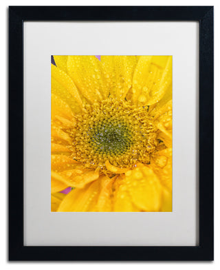 PIPA Fine Art 'Joyful Color' Matted Framed Art, 20x16