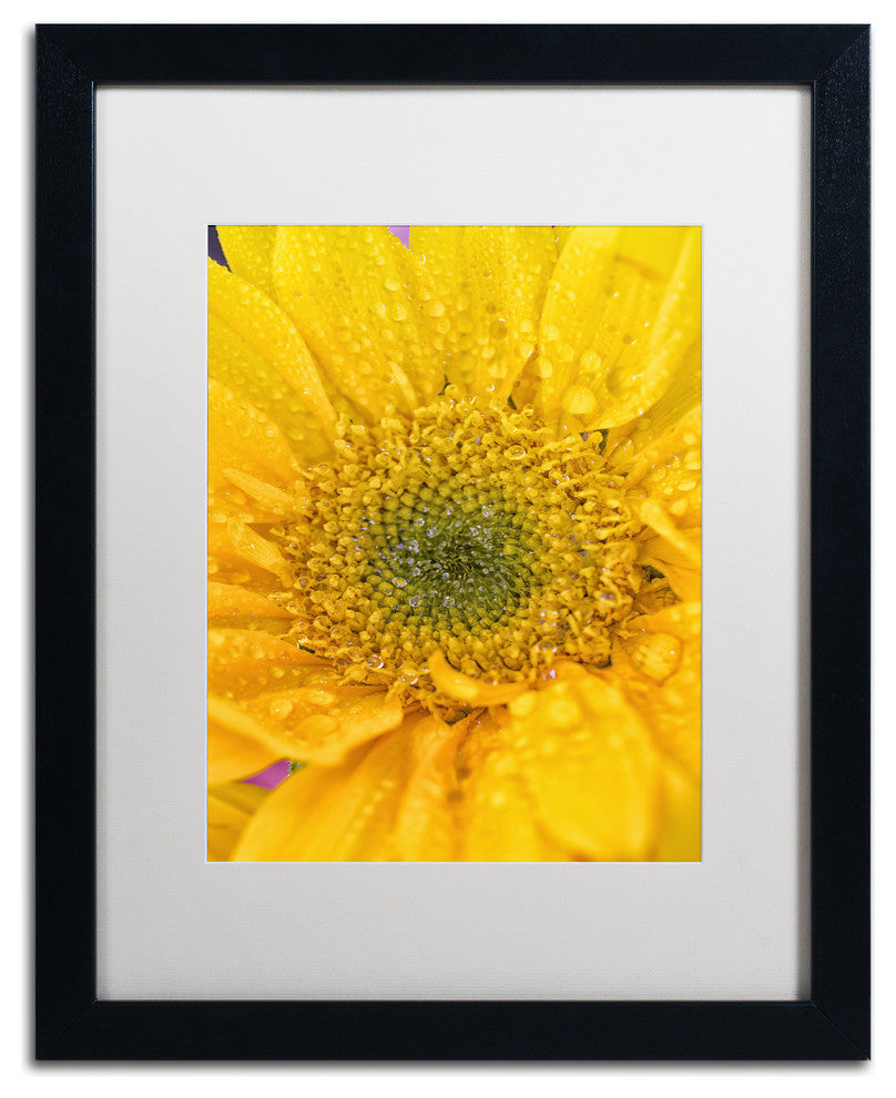 PIPA Fine Art 'Joyful Color' Matted Framed Art, 20x16