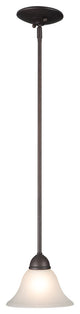 Vernal Falls 1-Light Mini Pendant, Oil Rubbed Bronze