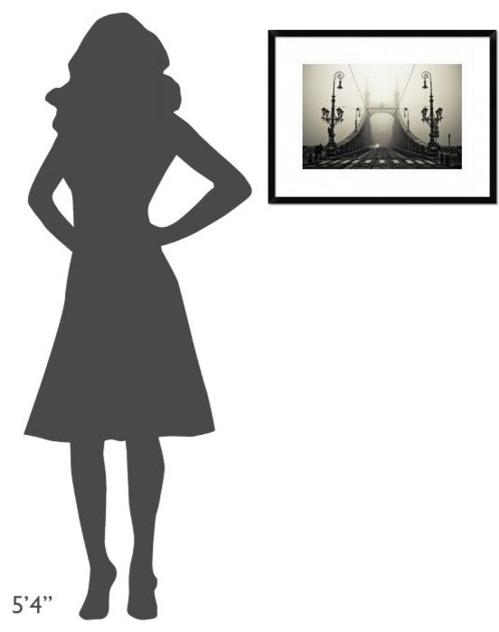 "The Bridge" Framed Digital Print by Arminmarten, 26"x20"